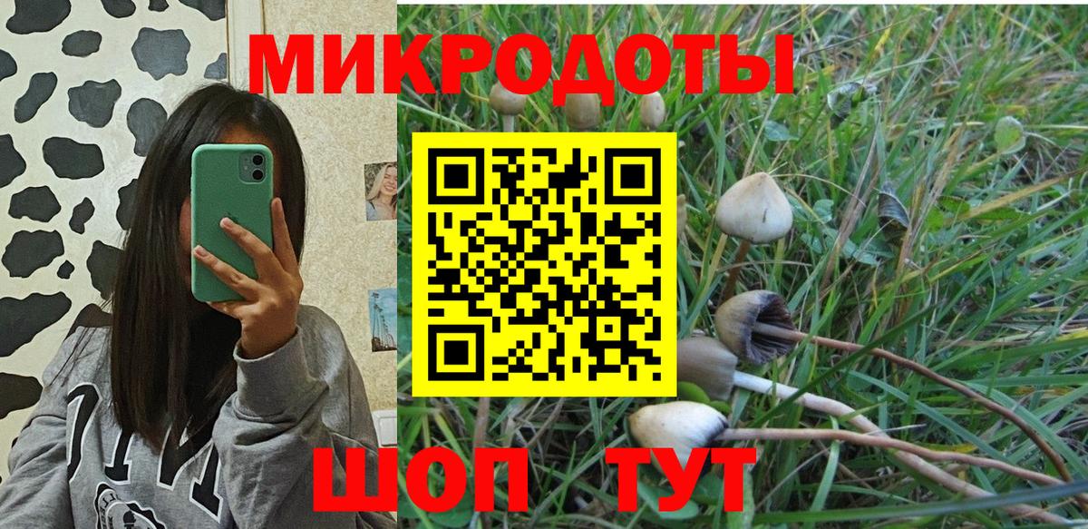 Можга  Псилоцибиновые грибы ЛСД  Вход с VPN 