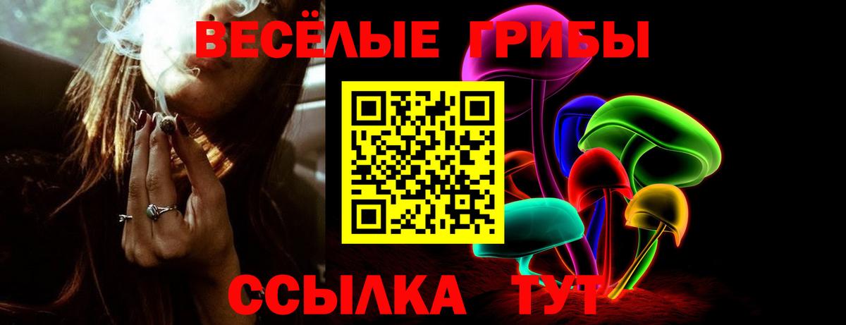 Псилоцибиновые грибы мухоморы Можга